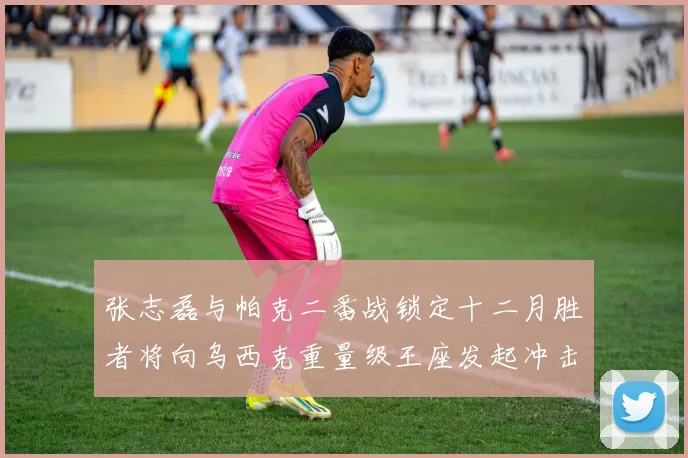 张志磊与帕克二番战锁定十二月胜者将向乌西克重量级王座发起冲击